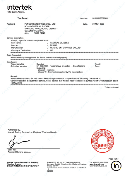 Ballistic Sunglasses