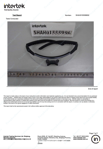 Ballistic Sunglasses